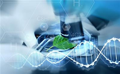 技術咨詢資訊 八方資源網行業資訊與技術交流平臺
