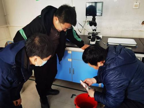 水產(chǎn)學(xué)院專家赴天津渤海農(nóng)業(yè)集團(tuán)開(kāi)展技術(shù)交流與合作指導(dǎo)